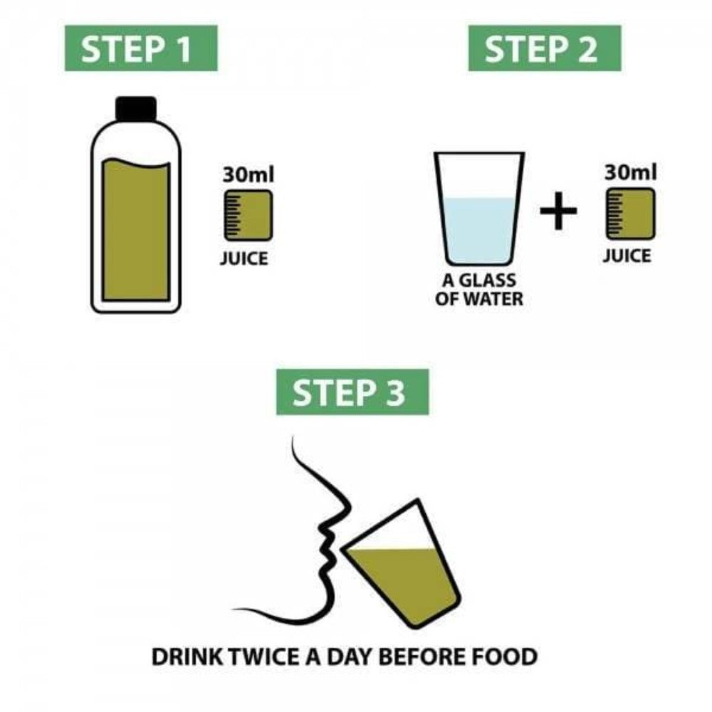 Vitro Naturals Certified Organic Karela Juice