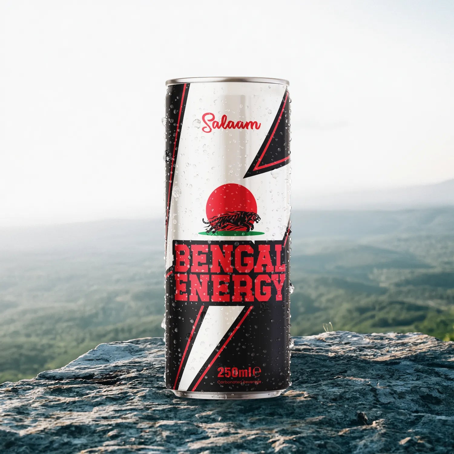 Salaam Bengal Energy — 24-Pack