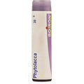 Boiron Homeopathy Phytolacca