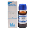 SBL Homeopathy Polygonum Punctatum Mother Tincture Q