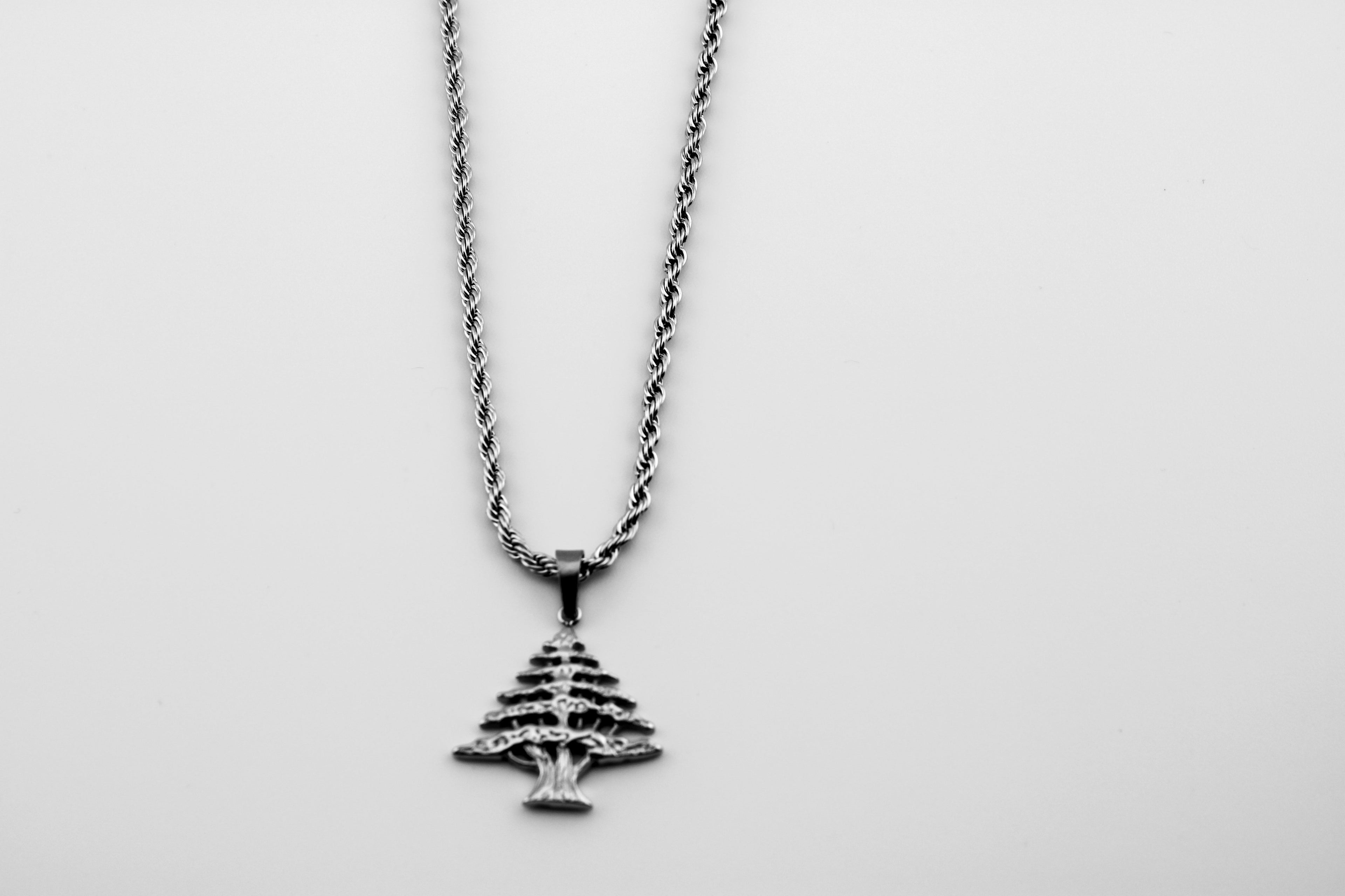 Lebanon Arz Tree