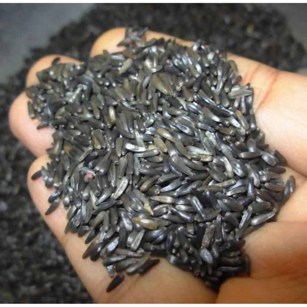 Freshon Niger Seeds / Uchellu