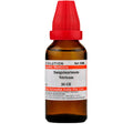 Dr. Willmar Schwabe India Sanguinarinum Nitricum Dilution