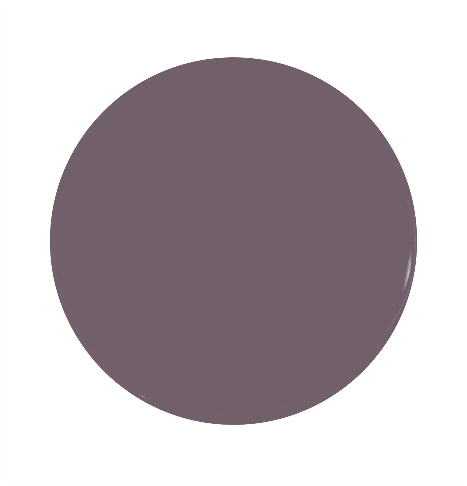 Taro