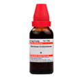 Dr. Willmar Schwabe India Ocimum Gratissimum Mother Tincture Q