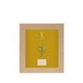 Forest Essentials Body Ubtan Turmeric, Orange Peel and Sweet Basil