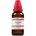 Dr. Willmar Schwabe India Canchalagua Dilution