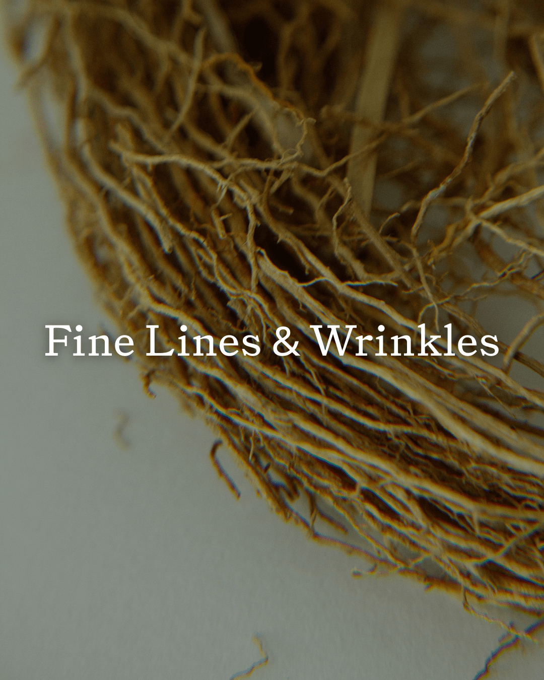 Emanations Tallow & Emu Face Oil • Sea Buckthorn & Floral Attars • Dry, Sensitive & Mature Skin