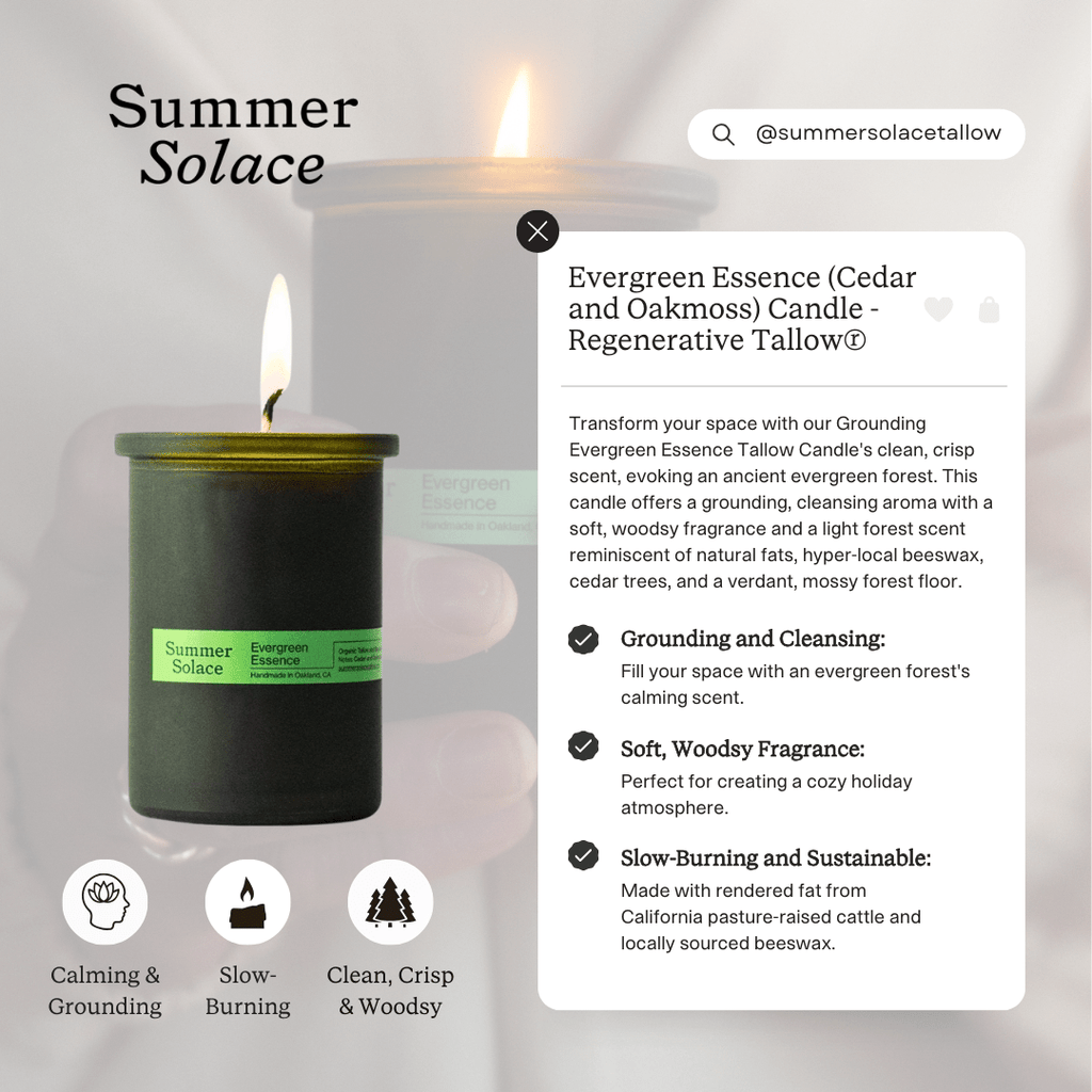 Evergreen Essence – Cedar & Oakmoss Candle | 6 oz Tallow & Beeswax
