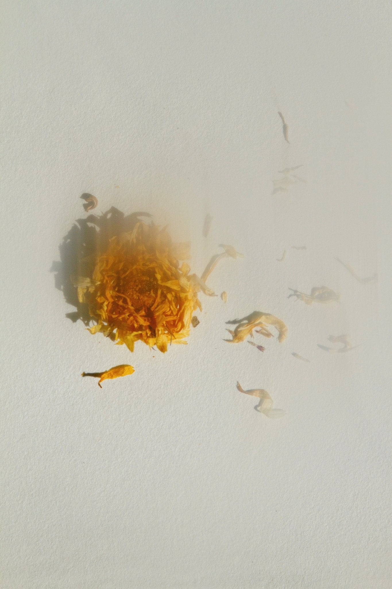 Pure Unscented Tallow Balm • Fragrance-Free Moisturizer for Sensitive Skin