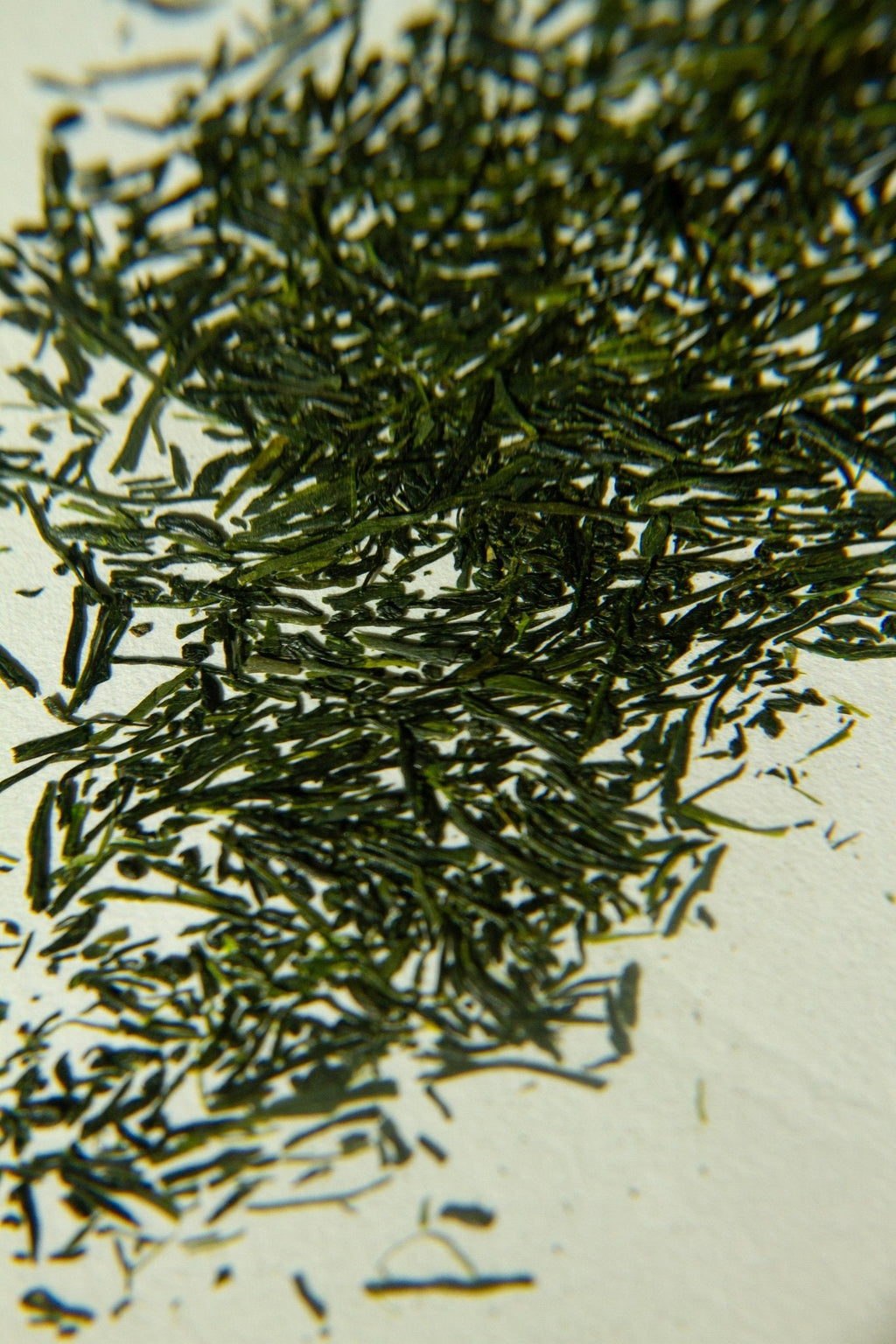Sea Change Seaweed Bar – Neroli & Bladderwrack for Mineral-Rich Cleansing