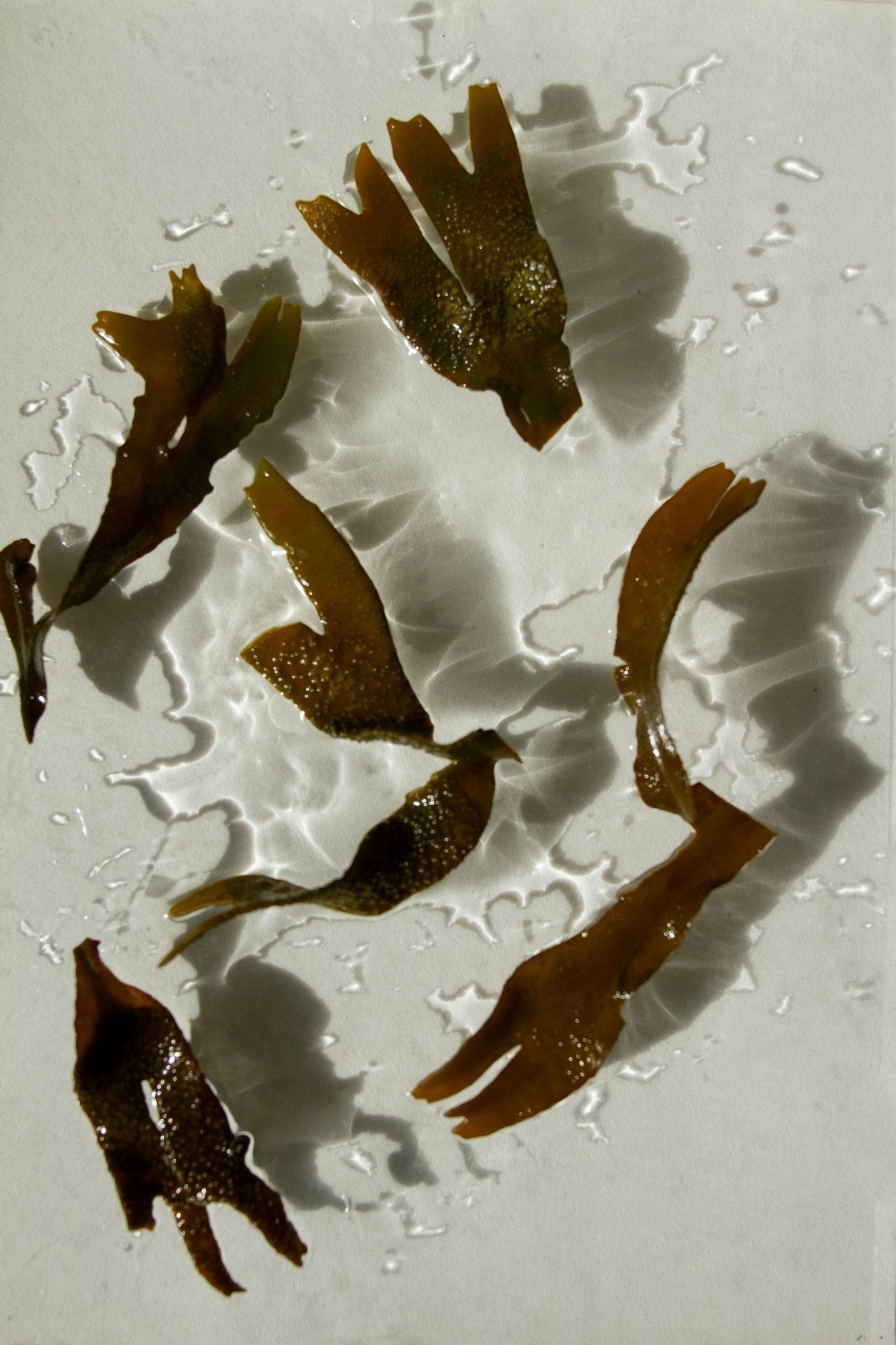 Sea Change Seaweed Bar – Neroli & Bladderwrack for Mineral-Rich Cleansing