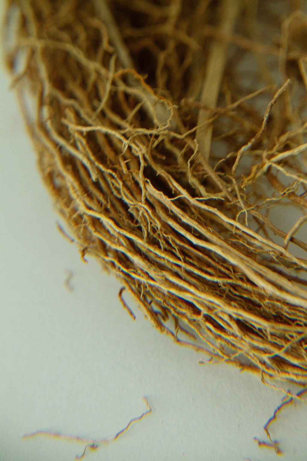 Vetiver Sphere Soap – Grounding & Earthy Aromatic Cleanser