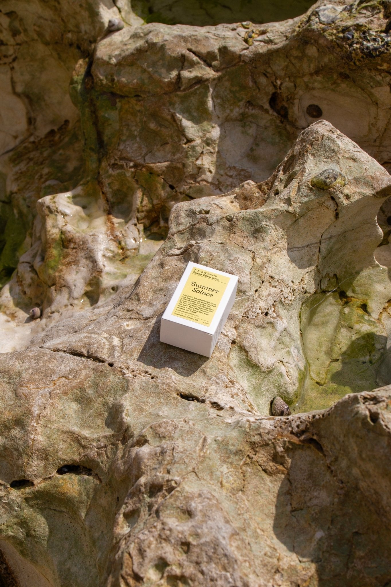 Yuzu & Sencha Tallow Soap • Invigorating Toning Bar with Green Tea & E3Live®